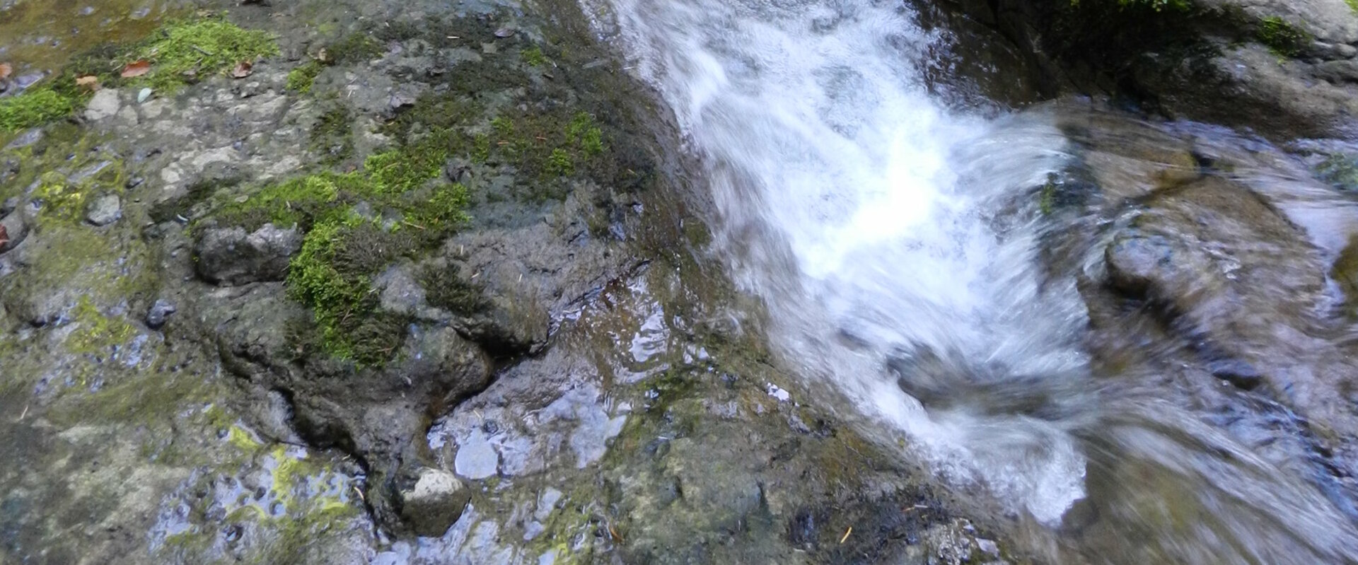 Canyoning Alagnon - Le lioran Cantal